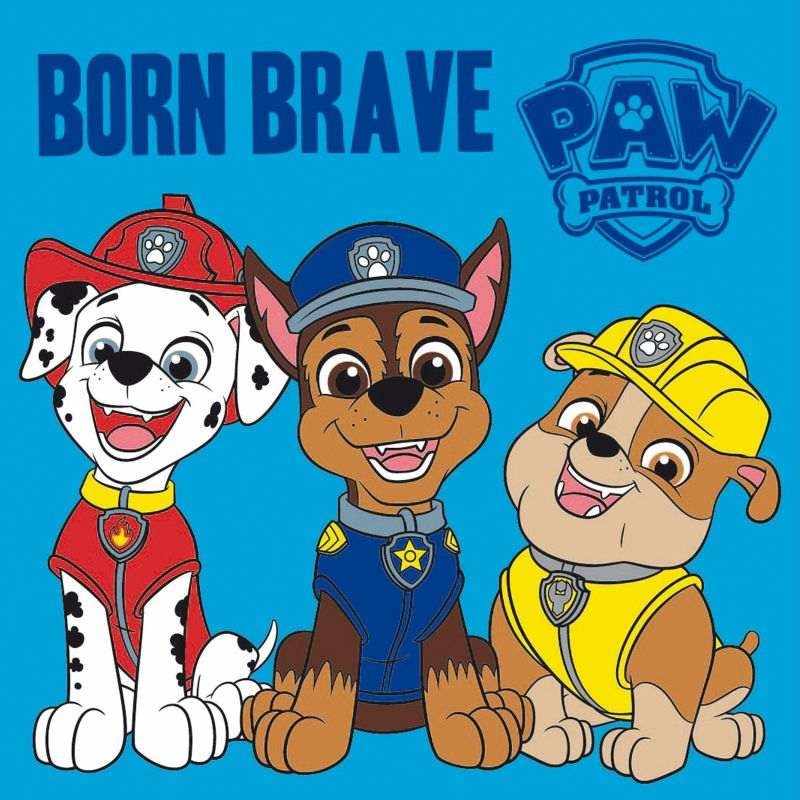 Magický uteráčik Paw Patrol Brave 30/30