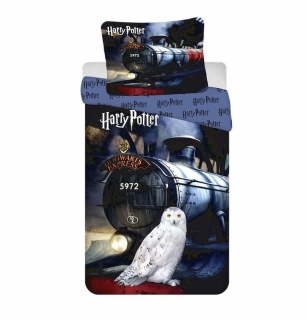 Obliečky Harry Potter vlak a Hedviga HP111